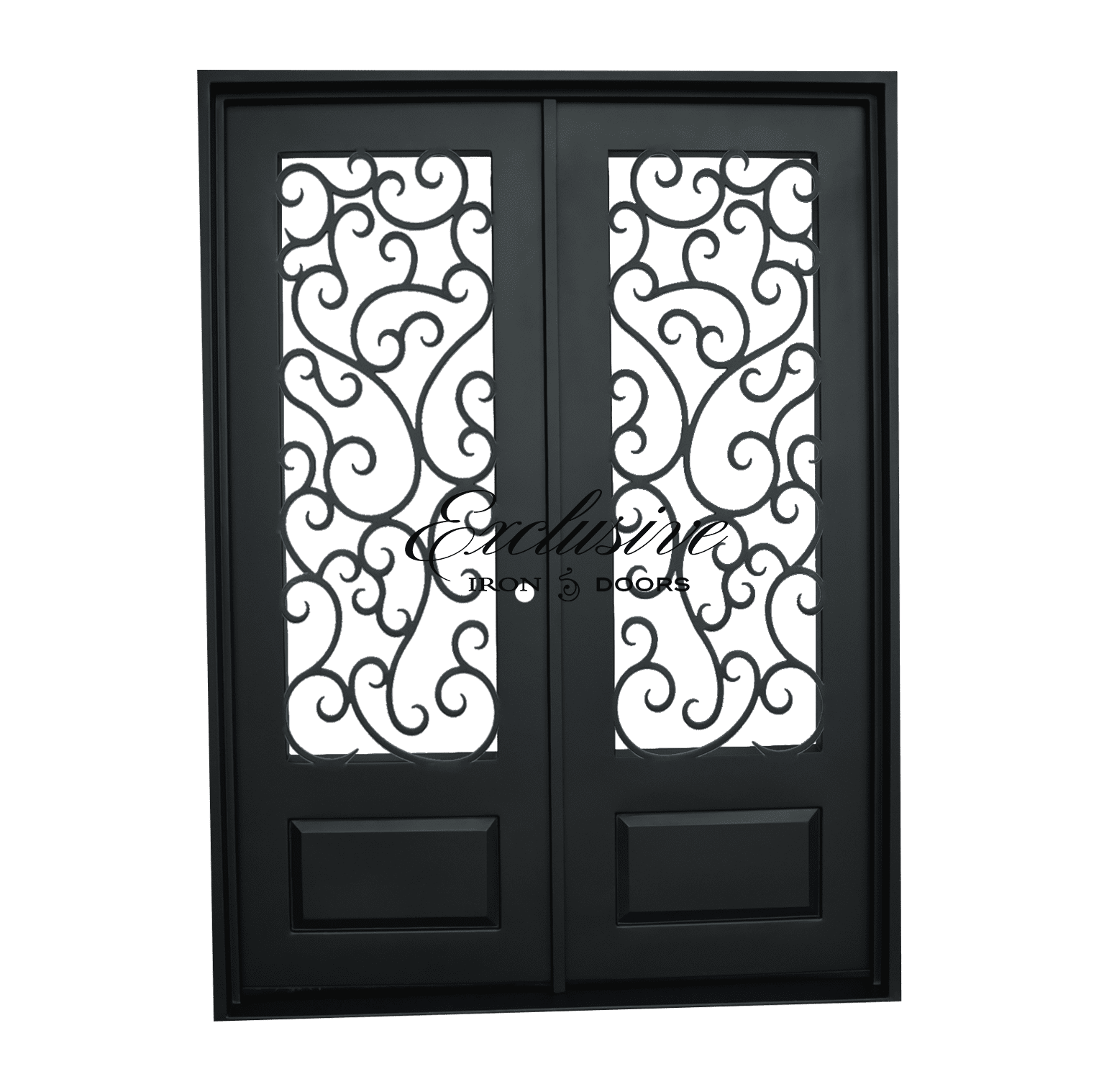 Exclusive Iron Doors 0858